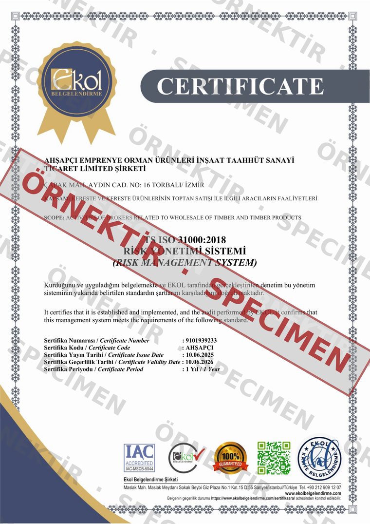 TS ISO 31000:2018 Risk Yönetimi Sistemi belgesi — örnektir