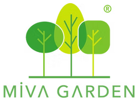 Miva Garden Peyzaj