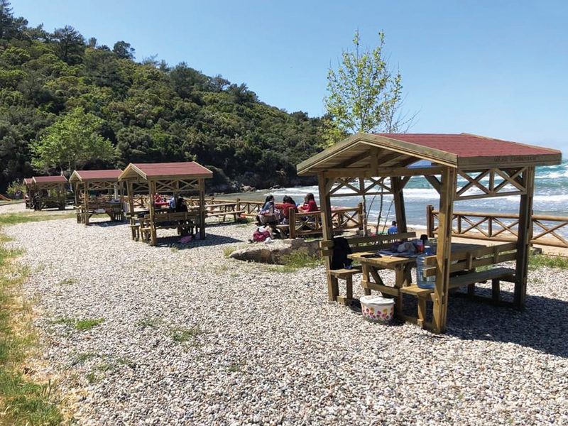 Ahşap Çatılı Piknik Masası