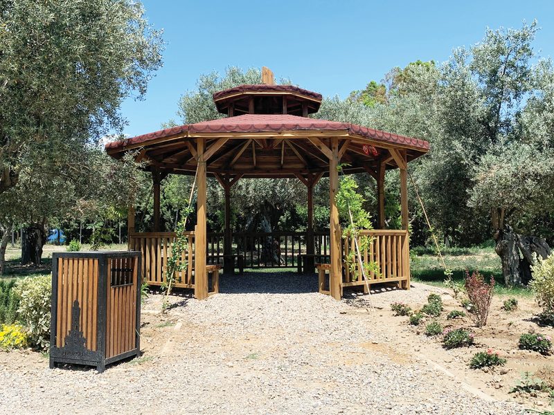 Ahşap Sekizgen Kamelya R=500 cm