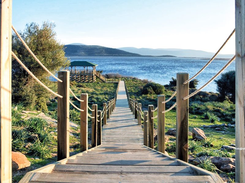 Ahşap Merdiven ve Yürüyüş Yolu Bafa Gölü / MUĞLA
